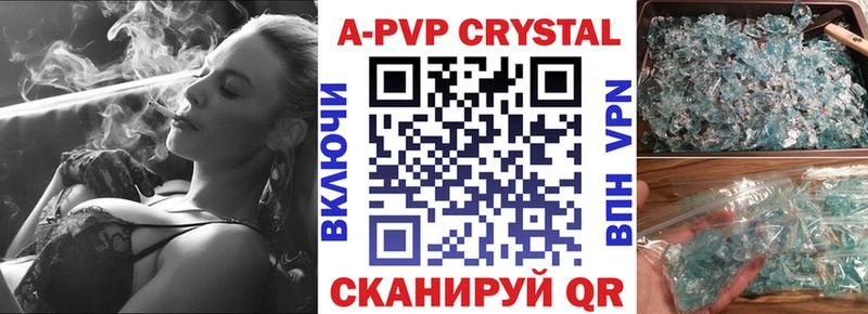A PVP СК  Козьмодемьянск 
