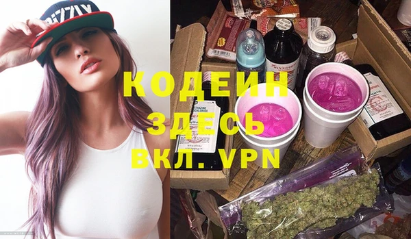 индика Нягань