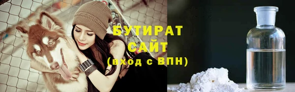 индика Нягань
