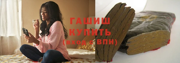 индика Нягань