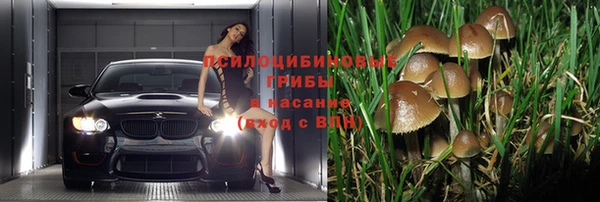 MESCALINE Осинники